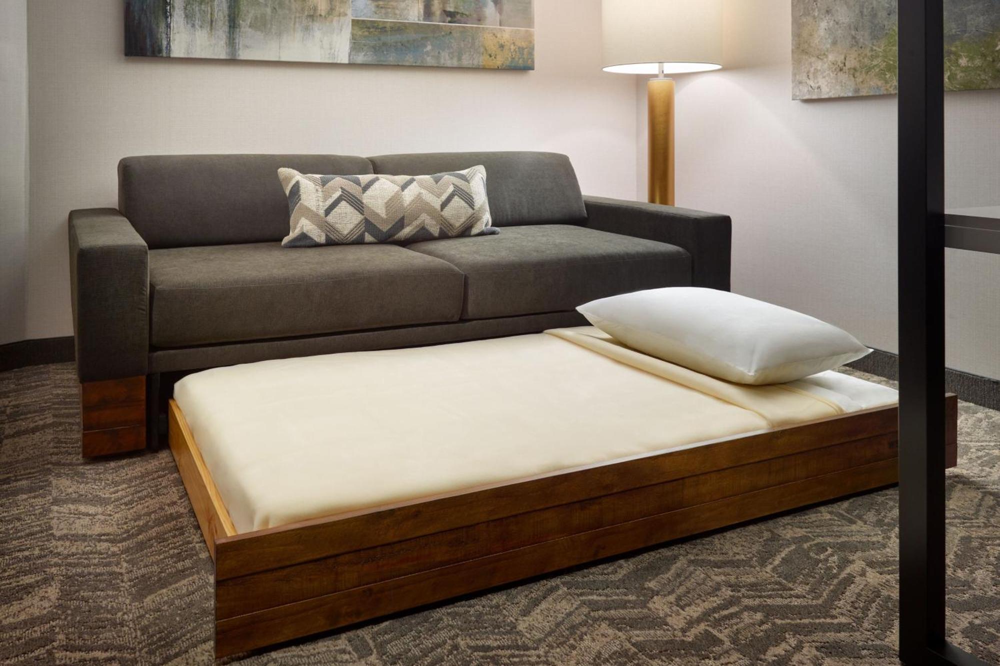 Springhill Suites By Marriott Arlington Tn Dış mekan fotoğraf